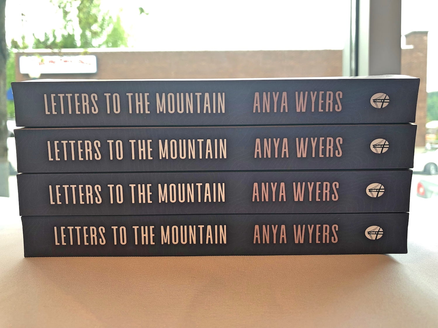 Stack of Books Letters to the Mountain
