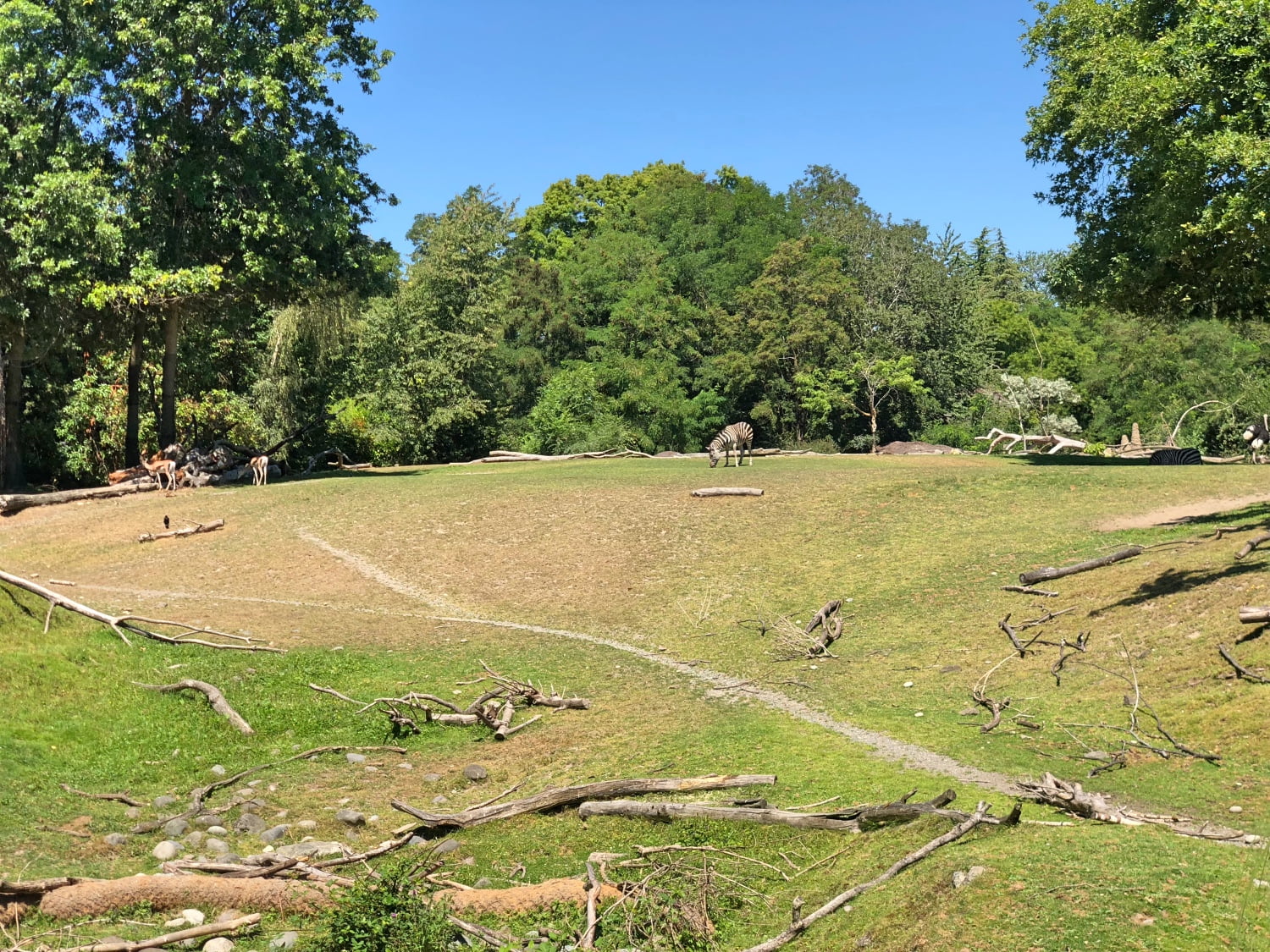 Woodland Park Zoo 2018