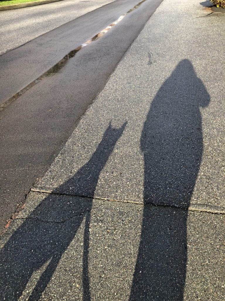 Shadows on Pavement of Woman Walking Dog